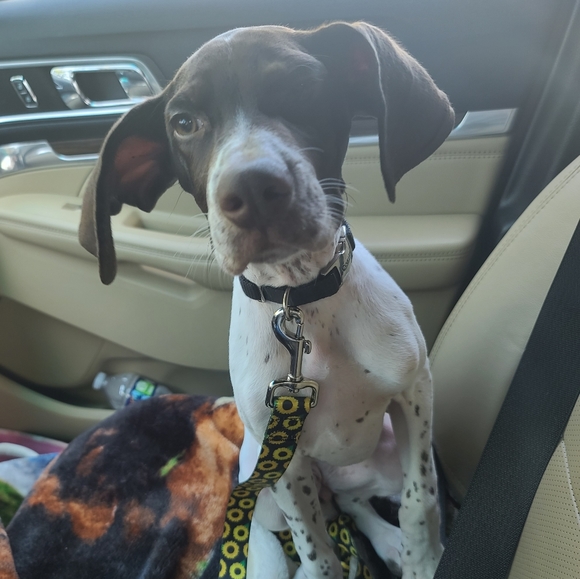 Meet your Posher, Brooke - Picture 5 of 5